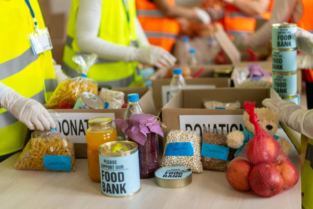 istock Food bank volunteering in process 1341144345