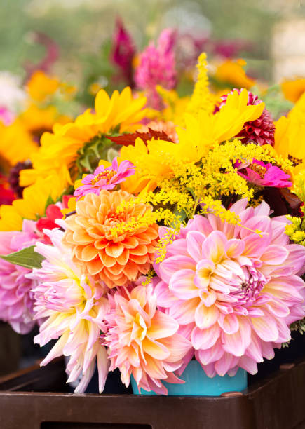 istock Fresh cut flowers at a local market 1341149508