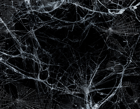 Spiderweb On Black Darkness - Halloween Board Background