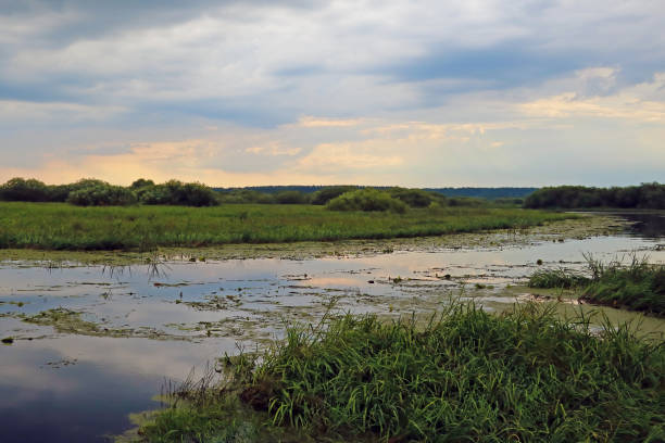 istock Small lake and dark sky before rain. 1341151080