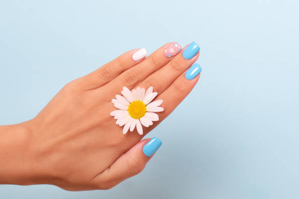 Female hand with summer manicure nails, decorated with camomile flower