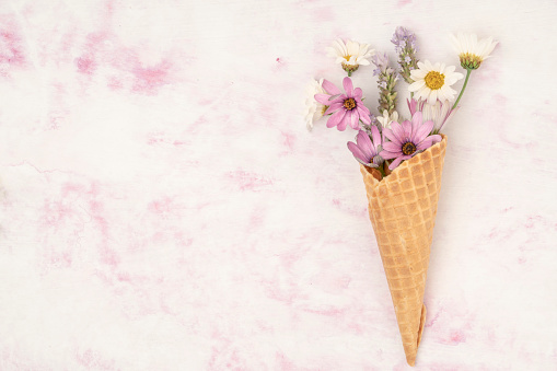 spring flowers in a waffle ice cream cone on a pink background with copy space. Flat lay spring concept