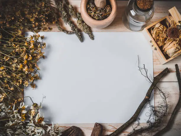 Photo of White sheet of paper, dried flowers and roots on the table