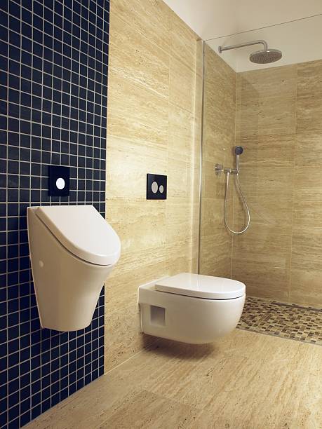 istock Bathroom lined with wooden-themed tiles 134115408