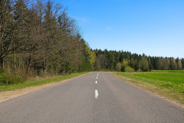 istock Rural asphalt road along the green forest. 1341155413