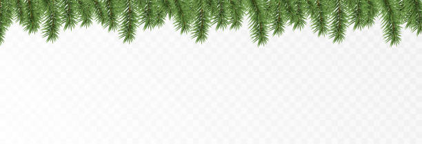 ilustraciones, imágenes clip art, dibujos animados e iconos de stock de ramas de abeto vectorial. ramas de abeto png, pino, abeto. decoraciones navideñas, fondo navideño. - garland