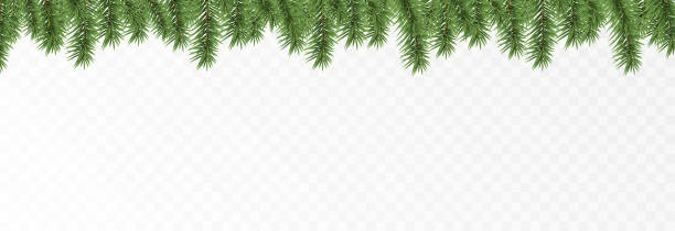 Vector fir branches. Spruce branches, pine, spruce. Christmas decorations, Christmas background. Vector fir branches. Spruce branches, pine, spruce. Christmas decorations, Christmas background. Vector. evergreen garland stock illustrations
