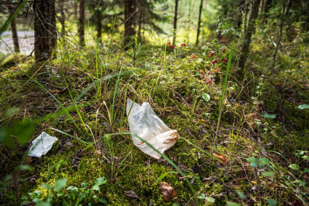 istock Random garbage junk items left in nature trails after tourists 1341158298