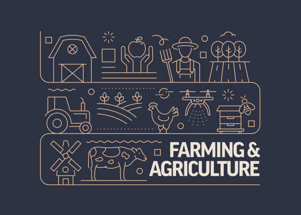 ilustrações, clipart, desenhos animados e ícones de conceito de design de banner de vetores relacionados à agricultura e agricultura, estilo de linha moderno com ícones - symbol farm agriculture computer icon