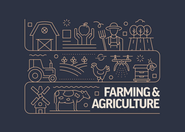 Farming and Agriculture Related Vector Banner Design Concept, Modern Line Style with Icons Farming and Agriculture Related Vector Banner Design Concept, Modern Line Style with Icons farmer icons stock illustrations