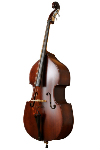 Contrabass on white background.