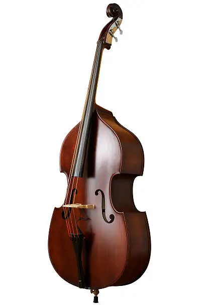 Contrabass on white background.