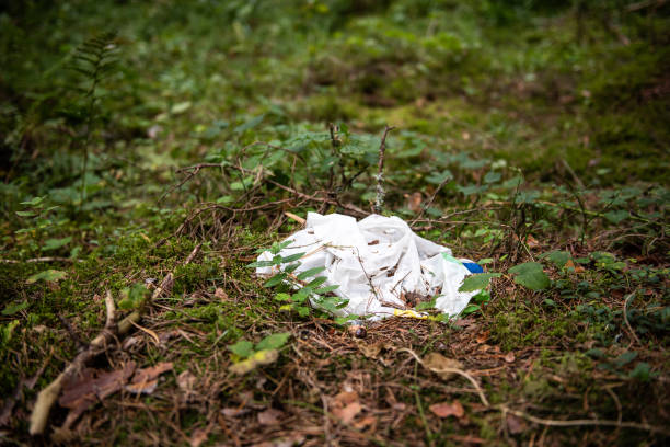 Random garbage junk items left in nature trails after tourists.