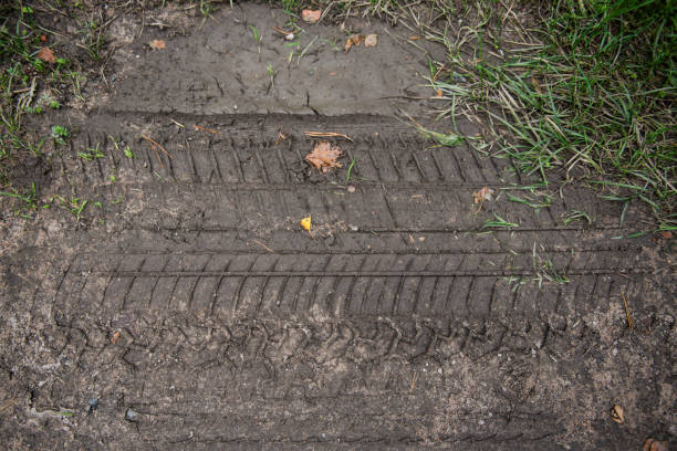 car wheel track on mud, dirt - dirt road textured dirt mud imagens e fotografias de stock