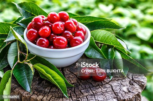 istock Fresh sour cherries in a wooden bowl and green leaves on the board. Fresh ripe sour cherries.Cherries in a dish closeup.Food background. 1341166901