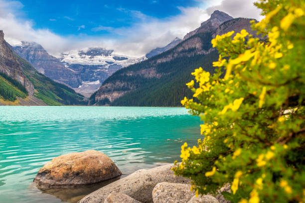 istock Lake Louise, Banff National Park 1341174684