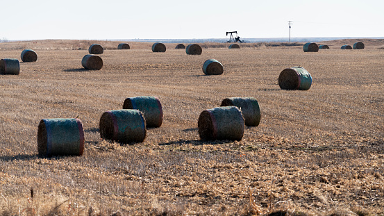 The oil pump in the middle of the harvested fields with piles of hay in Nebraska, USA.