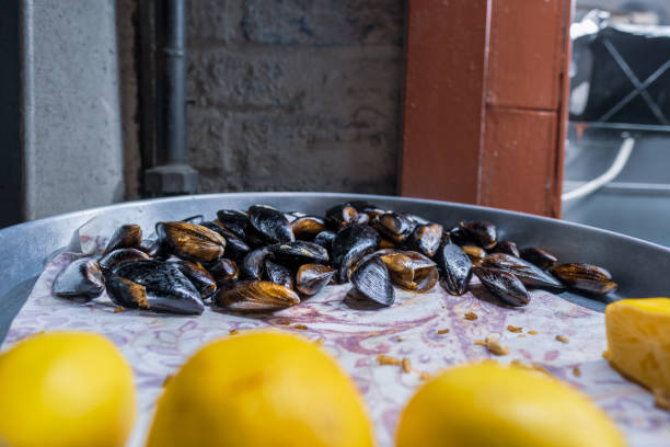 stuffed mussels with lemons on tray, a street food in Turkey