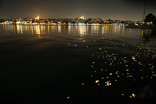 wide landscape and seascape of Istanbul at night time and a lot of breads on sea on Kasimpasa coastal area for feeding fishes for animal behaviour fishing concepts