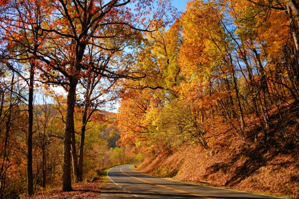 istock Autumn in Virginia 1341182540