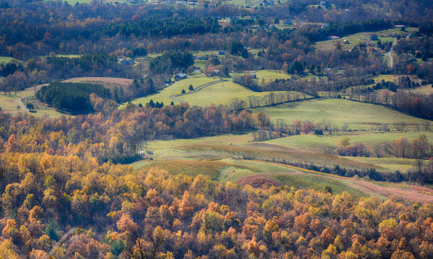 istock Autumn in Virginia 1341182552