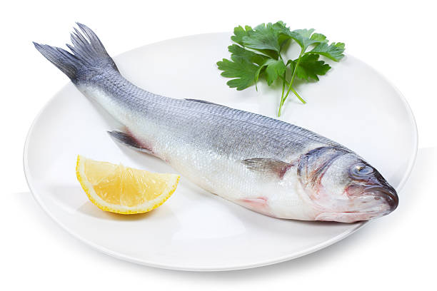 istock sea bass 134118553
