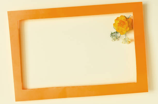 istock A colored frame decorated with yellow flowers on a light background of the mine space. Flat ley bright orange frame and yellow flower decor 1341191714