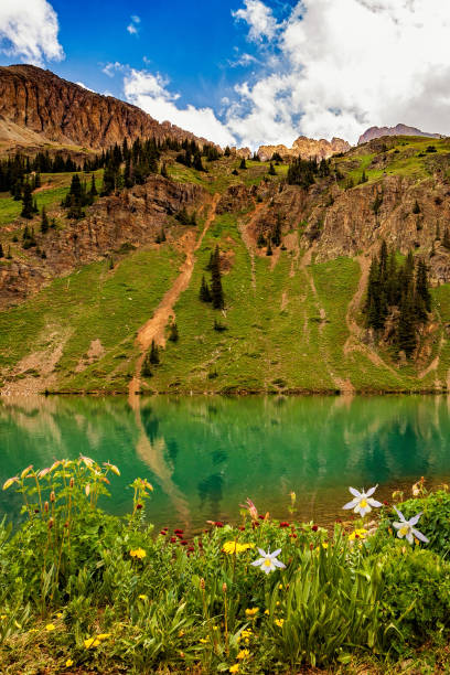 istock Wildflowers at Blue Lake 1341194427