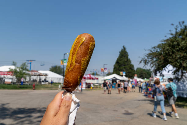 Hand holds up a pronto pup smothered in mustard at the fairgrounds in summer Hand holds up a pronto pup smothered in mustard at the fairgrounds in summer agricultural fair stock pictures, royalty-free photos & images