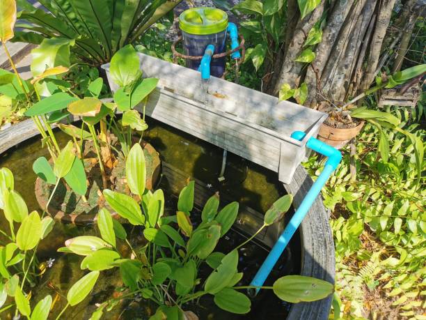 istock Prepare aquaponics equipment on the fish pond 1341197462