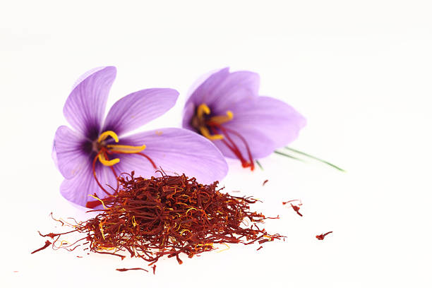 saffron-blume - crocus blooming flower head temperate flower stock-fotos und bilder