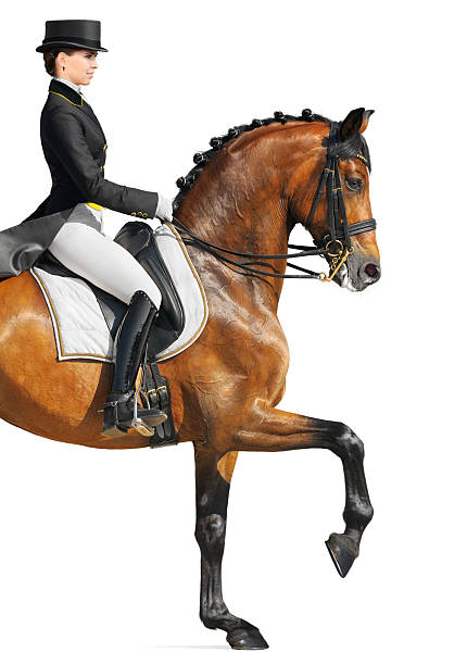istock Equestrian sport - dressage 134120003