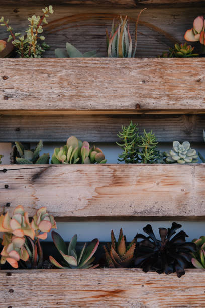 istock Vertical wooden planters with succulents on white wall with backyard bench and pillows 1341202802