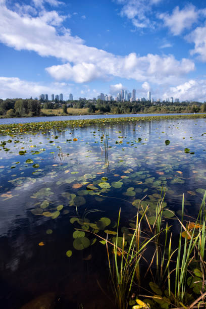 istock Deer Lake in autumn, Burnaby, BC,  Canada 1341203792