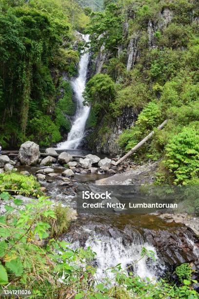 Natural Tourism Siringo Waterfall Silalahi Village North Sumatra Indonesia The Beauty Of The Waterfall With A Fresh Green Background Stock Photo - Download Image Now