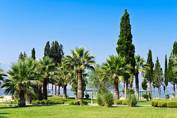 istock Pamukkale resort, Turkey 134121255