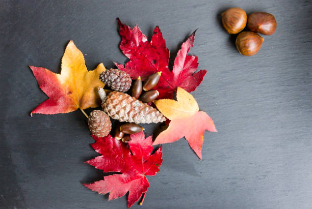 istock Autumn leaves on dark background 1341213561