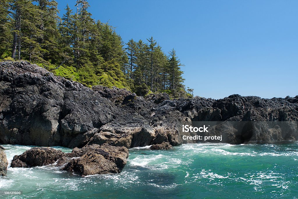 Mar, praia e floresta - Foto de stock de Colúmbia Britânica royalty-free