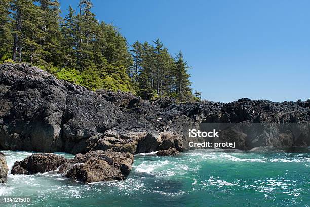 Foto de Mar Praia E Floresta e mais fotos de stock de Colúmbia Britânica - Colúmbia Britânica, Nanaimo, Aberto