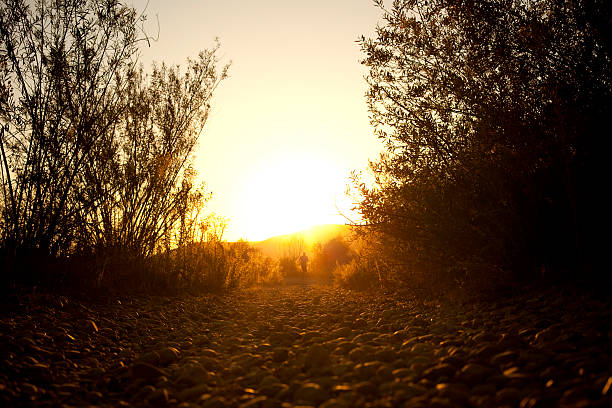 Backlit Shadow runner in the distance stock photo