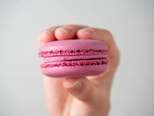 Purple sweet macaroon cookies in hand on a white background. Close-up, air-conditioning product