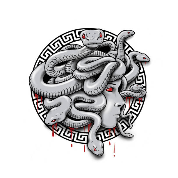 illustrazioni stock, clip art, cartoni animati e icone di tendenza di gorgone medusa - medusa greek mythology mythology gorgon