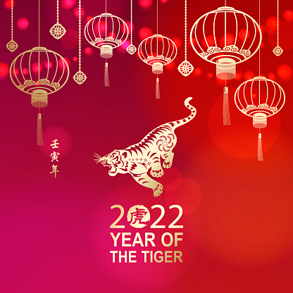 Celebrate Chinese New Year with Tiger 01