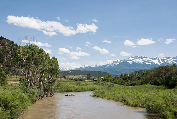 Rafters on the Uncompahgre River Rafters float down the muddy, snowmelt-swelled, Uncompahgre River near Ridgway, Colorado on a sunny day in late spring ridgway stock pictures, royalty-free photos & images