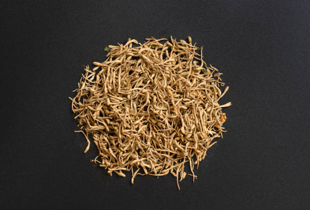 istock Natural Chinese Herbal Medicine 1341234499
