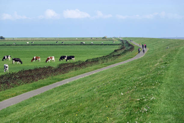 istock The dikes of Schiermonnikoog 1341236765