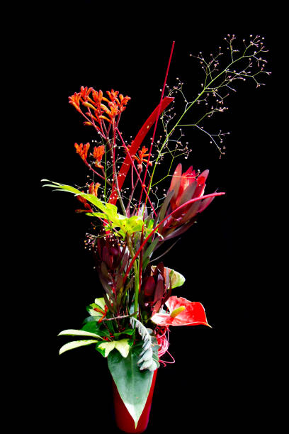 Red exotic flower bouquet isolated on black background