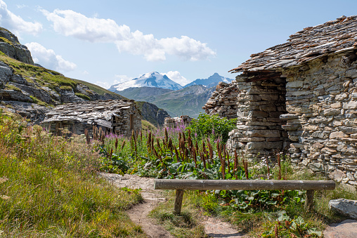 Mountain landscape with a ruin of an old house, flowers and glaciers