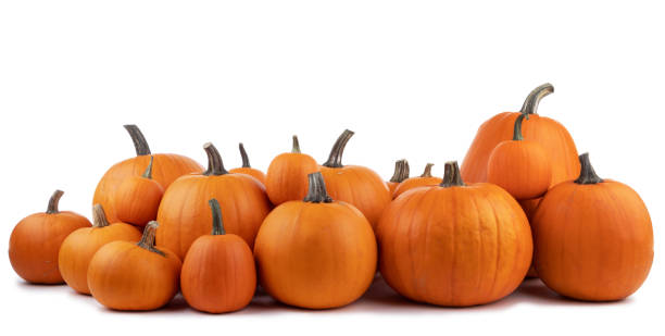 istock Many orange pumpkins on white 1341238002