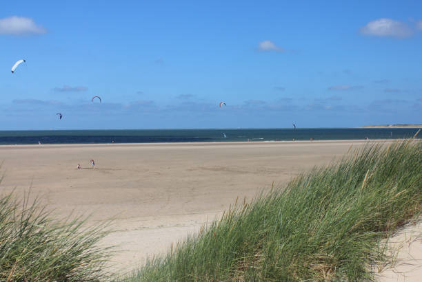istock Dunes on the North Sea coast at the Netherlands 1341238066